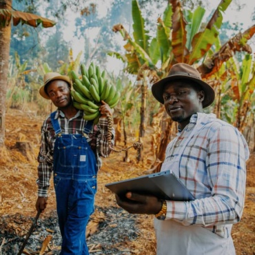 From Seed to Security: Agricultural Relief Program